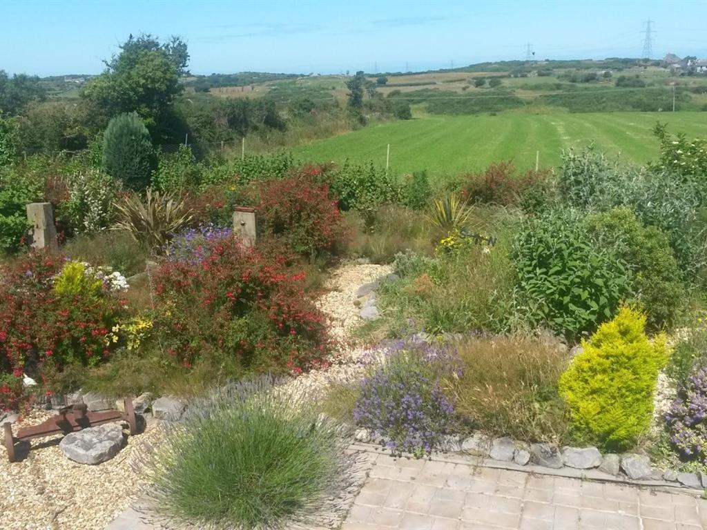 Sportsmans Lodge Bed And Breakfast Amlwch Bagian luar foto